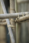 Singapore: bamboo scaffolding / andaime de bambu (photo by S.Lovegrove / Picture Tasmania)