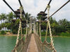 Singapore: South Rope Bridge - Southernmost point of continental Asia - islet near Sentosa Island - photo by H.Waxman