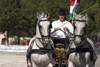 Slovenia - Lipica / Lipizza - Goriska region: Lipica stud farm - Combined driving event - flyng the flag of the Austro-Hungarian empire - Carriage Driving - photo by I.Middleton