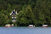 Slovenia - Row of Pletna boats on Lake Bled - forest - photo by I.Middleton