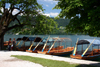 Slovenia - the local gondolas, called Pletnas, moored on Lake Bled - photo by I.Middleton