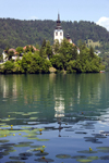 Slovenia - Assumption of Mary's Church reflected on Lake Bled - photo by I.Middleton