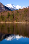 Slovenia - reflection of mountains and forest - Bohinj Lake in Spring - photo by I.Middleton
