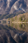 Slovenia - banks of Bohinj Lake - photo by I.Middleton