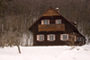 Slovenia - Typical alpine housing in the village Ribcev Laz near Bohinj Lake - photo by I.Middleton