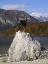 Slovenia - Lake Bohinj / Bohinjsko jezero / Wocheinersee - Ribcev Laz - - Upper Carniola / Gorenjska region: chamois sculpture - Rupicapra rupicapra - photo by R.Wallace