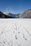 Slovenia - Footprints in the snow on Bohinj Lake when frozen over - photo by I.Middleton