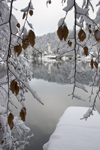 Slovenia - Ribcev Laz - leaves and view across Bohinj Lake in winter - photo by I.Middleton