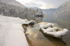 Slovenia - Ribcev Laz - forzen boat and forest - view across Bohinj Lake in winter - photo by I.Middleton
