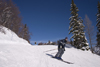 Slovenia - man skiing on Vogel mountain in Bohinj - photo by I.Middleton