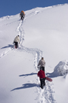 Slovenia - Snowboarders climbing on Vogel mountain in Bohinj - photo by I.Middleton