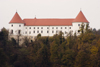 Slovenia - Jesenice na Dolenjskem castle and the forest - Golf hotel Grad Mokrice - photo by I.Middleton