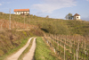 Slovenia - rural house and vineyards near Brezice - photo by I.Middleton