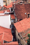 Slovenia - Piran - Slovenska Istra: red tiles - roofs of the old town - photo by M.Torres