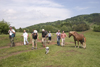 Slovenia - Cerknica municipality: tourists and horses on Slivnica Mountain - photo by I.Middleton