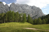 Slovenia - Julian Alps seen from Vrsic pass - edge of the forest - photo by I.Middleton