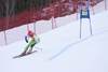 Golden fox, Womens world cup giant slalom - technical event - alpine ski racing - Kranjska Gora, Podkoren, Slovenia - photo by I.Middleton