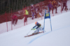 skier curving - Golden fox, Womens world cup giant slalom, Kranjska Gora, Podkoren, Slovenia - photo by I.Middleton