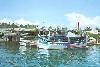Guadalcanal island - Honiara: the harbour - ferries to the other islands of the archipelago