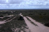 Somalia - coastal plain north of Mogadishu - typical road of the Horn of Africa - photo by Craig Hayslip