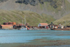 South Georgia Island - Grytviken - harbour view - Antarctic region images by C.Breschi