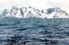 South Orkney islands - Coronation island from the sea - seal swimming (photo by G.Frysinger)