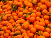 Spain / Espaa -  Tangerines - Citrus reticulata - hesperidio fruto del mandarino - Mercado central de Valencia  (photo by M.Bergsma)
