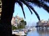 Spain / Espaa - Valencia: little harbour of Avinguda del Mar - palm tree (photo by M.Bergsma)