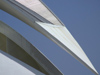 Spain - Valencia - Palace of the Arts - City of Arts and Science - detail - beak - photo by M.Bergsma