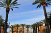 Ayamonte, Huelva, Andalucia, Spain: main square with palm trees - Plaza de la Laguna designed by Prudencio Navarro Pallares - photo by M.Torres