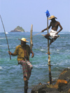 Weligama, Southern Province, Sri Lanka: two of the famous stilt fishermen - photo by B.Cain