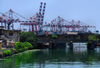 Colombo, Sri Lanka: Harbour cranes - Canal between Fort and Pettah districts, linking Beira Lake to the Harbour - photo by M.Torres