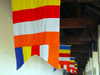 Kandy, Central province, Sri Lanka: Buddhist flags - blue-yellow-red-white-orange stripes - Sri Dalada Maligawa - Temple of the Sacred Tooth Relic - photo by M.Torres