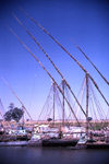 Sudan - White Nile River - Jonglei / Junqali state: feluccas - sailing ships tied up along the banks - photo by Craig Hayslip