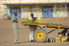 Sudan - El Kamlin Gezira / Al Jazirah state: selling mangoes from a cart - photo by L.Gewalli