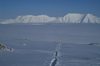 Svalbard - Spitsbergen island - Nordenskildfjellet: track in the snow - photo by A. Ferrari