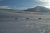 Svalbard - Spitsbergen island: - Adeventdalan: three Reindeer - Rangifer tarandus - photo by A. Ferrari
