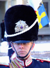 Stockholm, Sweden: royal guard next to the Royal Palace - photo by M.Bergsma