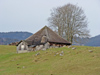 Switzerland / Suisse / Schweiz / Svizzera -  La Monse -   near Charmey: cottage for mountain pasture /  chalet d'alpage circa 1570 (photo by Christian Roux)