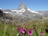 Switzerland / Suisse / Schweiz / Svizzera - Matterhorn / Mont Cervin / Cervino: seen from Rotenboden (photo by C.Roux)