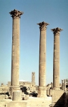 Syria - Bosra:  ancient columns (photo by J.Kaman)