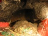 Syria - Blood Tears Cave: where Cain murdered Abel (photographer: D.Ediev)