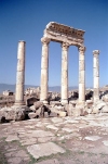 Syria - Apamea / Afamia / Qala'at al-Mudiq: columns II (photo by J.Kaman)