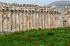 Syria - Afamia / Apamea: columns (photo by J.Wreford)