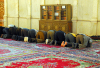Syria - Damascus: Omayyad Mosque - men praying - Asr prayer - photographer: M.Torres