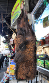 Damascus, Syria: camel head at the butcher - meat - food - photographer: M.Torres