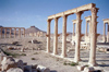 Palmyra, Syria: looking west form the senate house - photo by J.Kaman