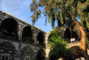 Damascus, Syria: Zait Khan - tree-shaded courtyard surrounded with vaulted arcades - eucalypthus - photographer: M.Torres