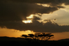 Africa - Tanzania - Sunset over Serengeti National Park - photo by A.Ferrari