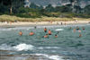 Tasmania - Australia - Hobart: Howrah Beach - bathing (photo by S.Lovegrove)
